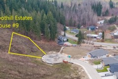 Foothill-House-9-Aerial